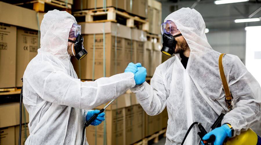 Why choose Bat Exclusion Plymouth for bat exclusion in Plymouth